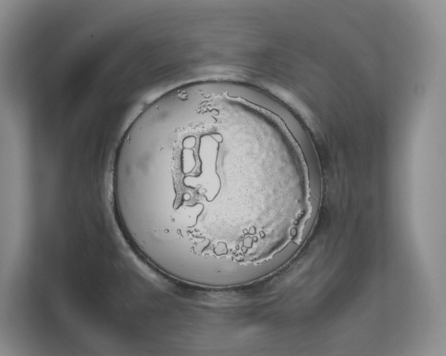 X0000111881383200908061305