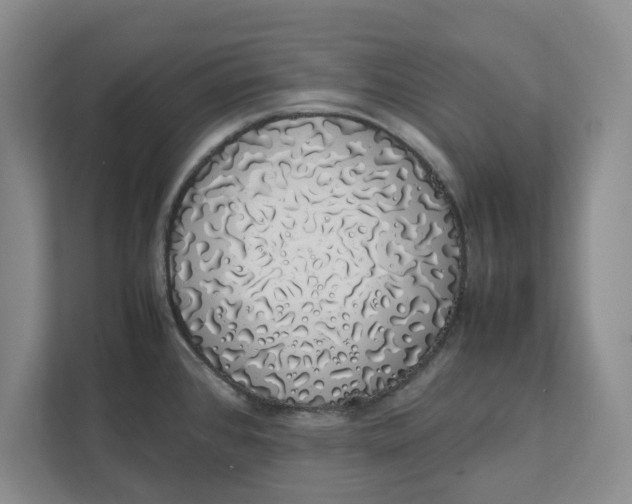 X0000111881384200908061305