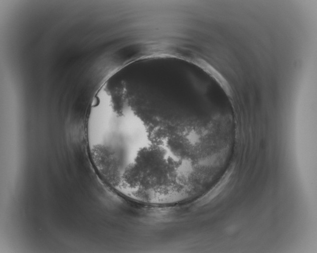 X0000111881385200908061305