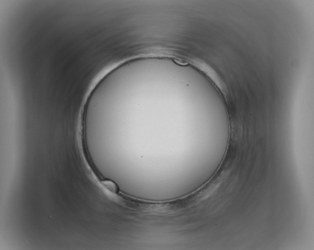 X0000111881387200908061305