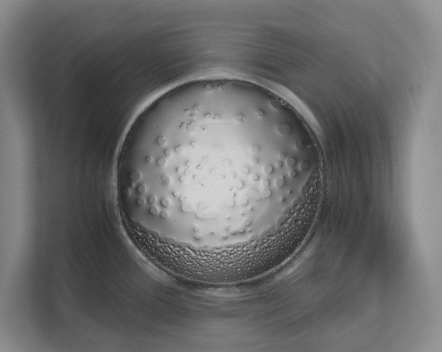 X0000111881388200908061305