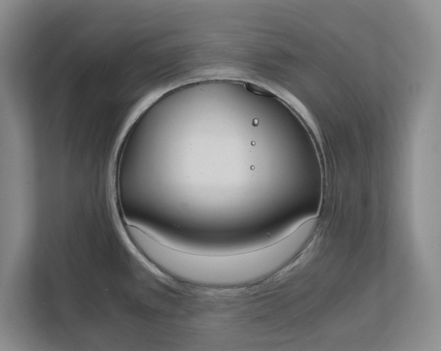 X0000111881389200908061305