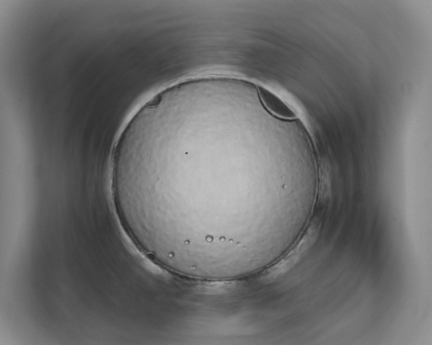 X0000111881390200908061305