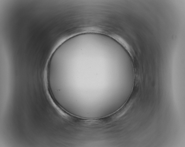 X0000111881391200908061305