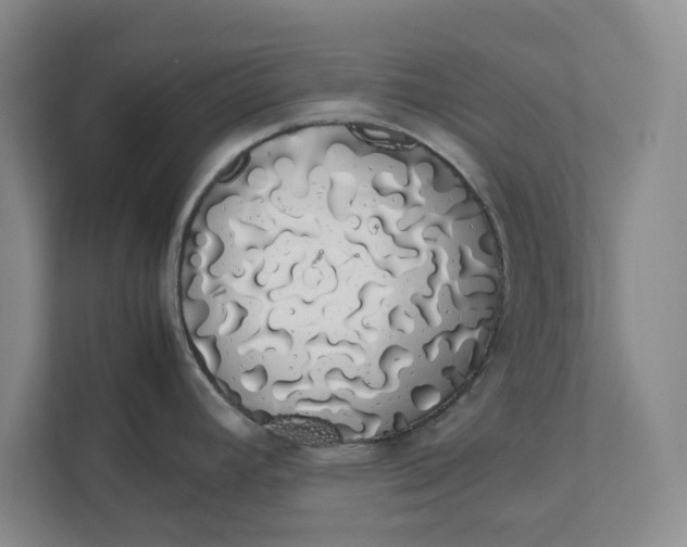 X0000111881392200908061305