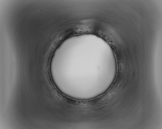 X0000111881393200908061304