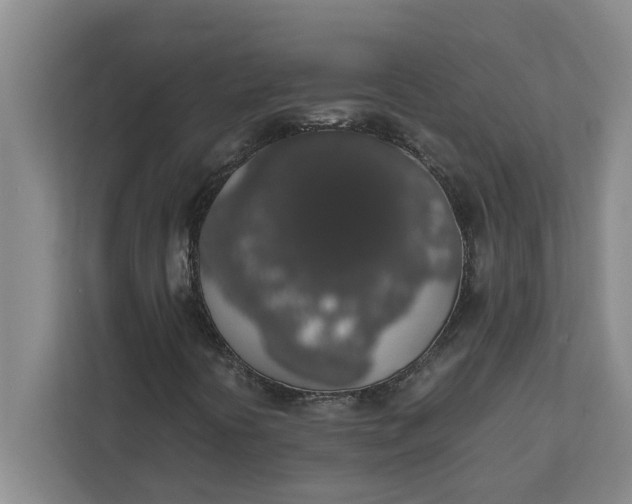 X0000111881394200908061304