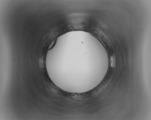 X0000111881395200908061304