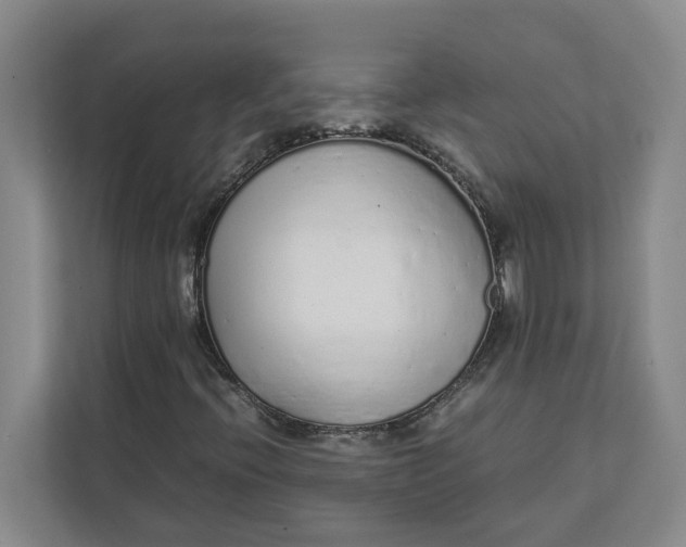 X0000111881396200908061304