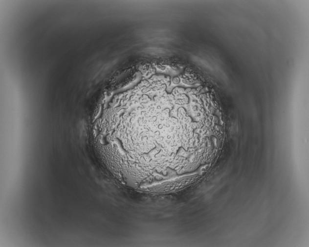 X0000111881397200908061304