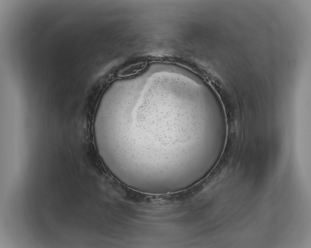 X0000111881398200908061304