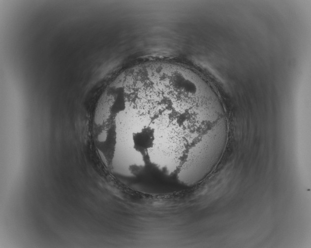 X0000111881399200908061304