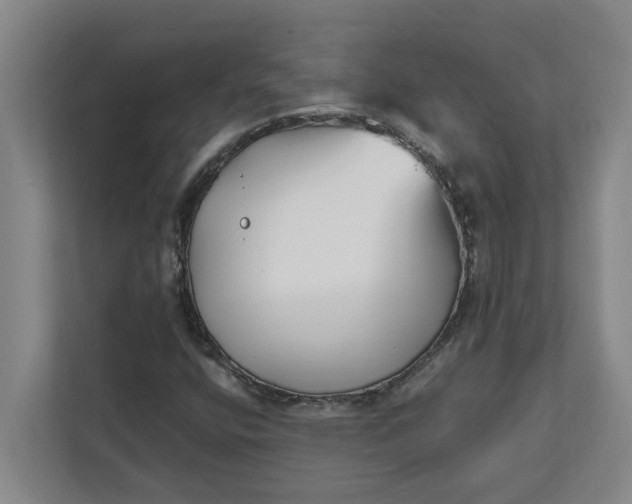 X0000111881400200908061304