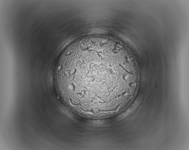 X0000111881401200908061304