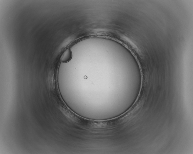 X0000111881403200908061304