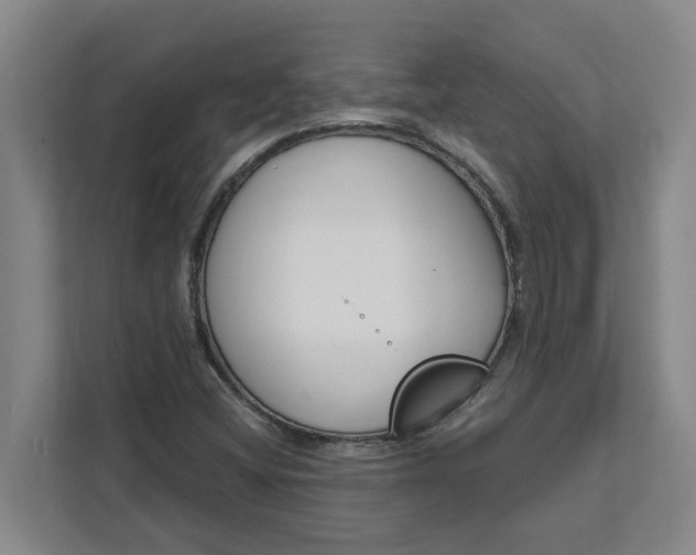 X0000111881404200908061304