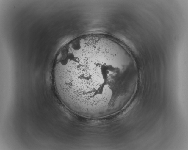 X0000111881405200908061305