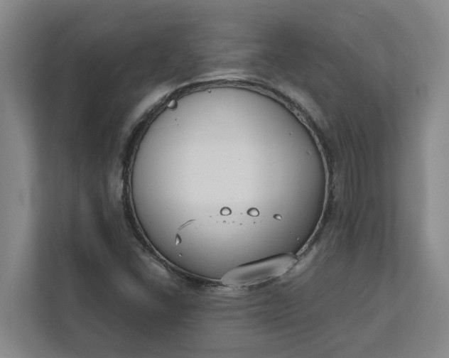 X0000111881406200908061305