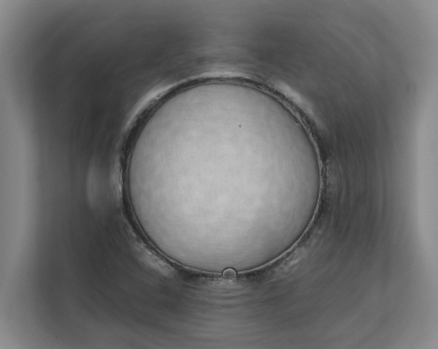 X0000111881408200908061305