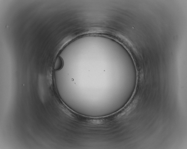 X0000111881409200908061305