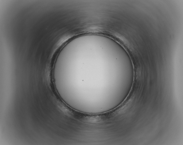 X0000111881410200908061305