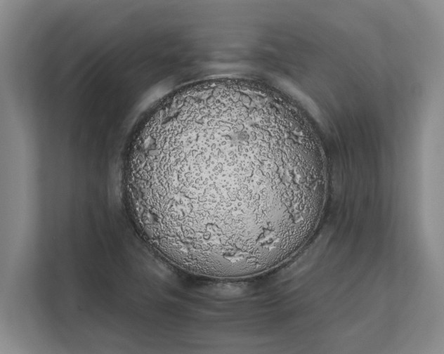 X0000111881411200908061305