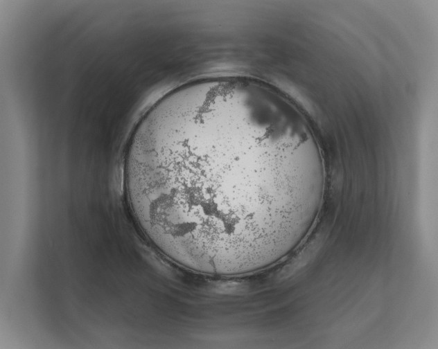 X0000111881413200908061305