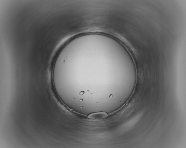 X0000111881416200908061305