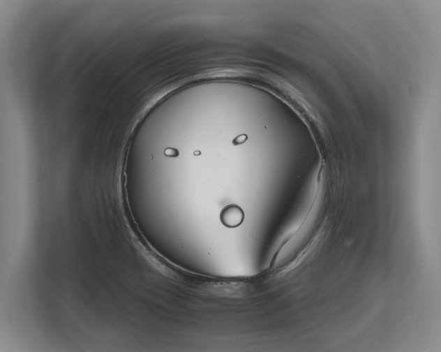 X0000111881417200908061305