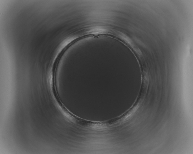 X0000111881418200908061305