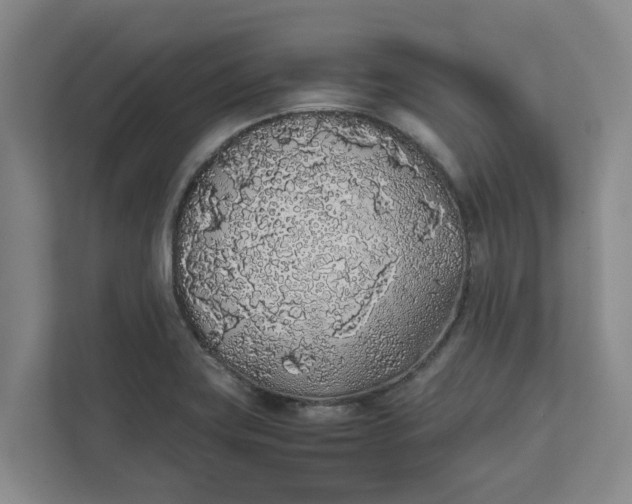 X0000111881419200908061305