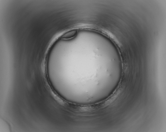 X0000111881421200908061305