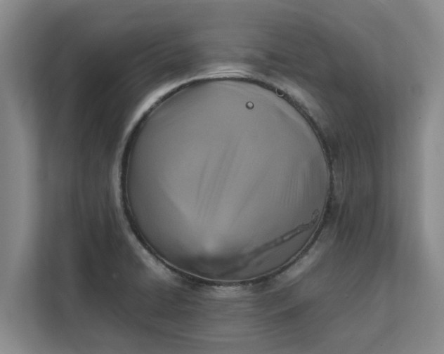 X0000111881422200908061305