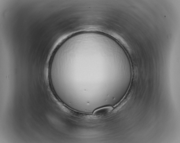 X0000111881424200908061305