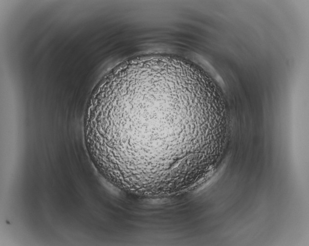 X0000111881425200908061305