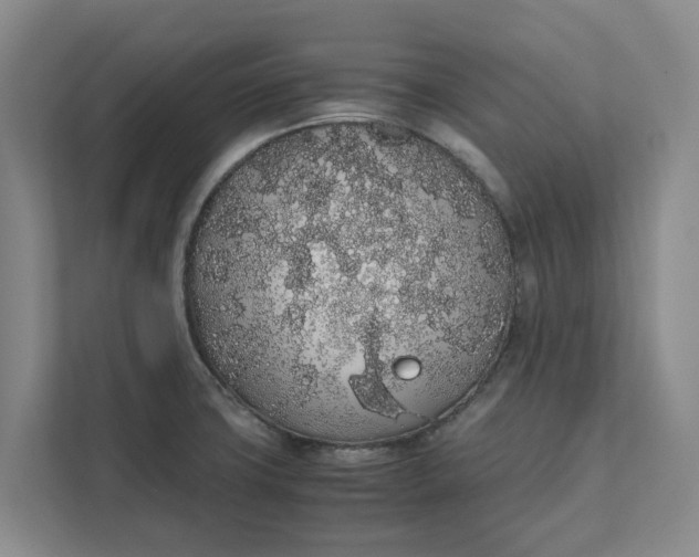 X0000111881427200908061305