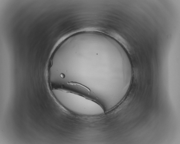 X0000111881428200908061305