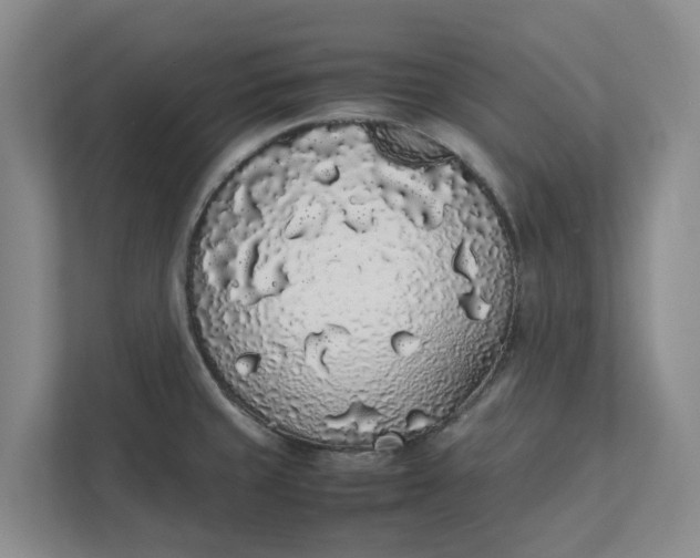 X0000111881429200908061305