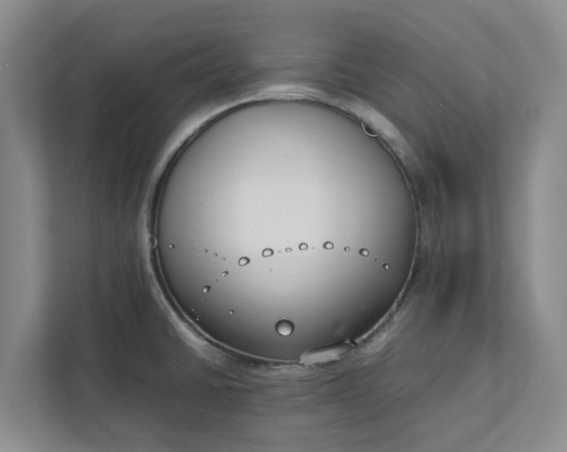 X0000111881430200908061305