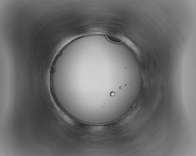 X0000111881431200908061305