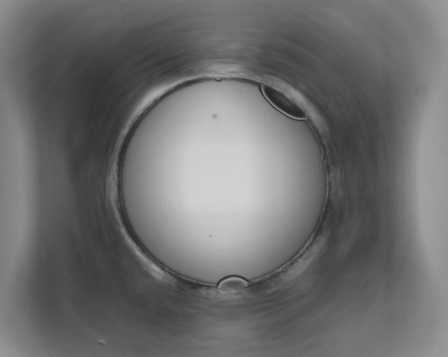 X0000111881432200908061305