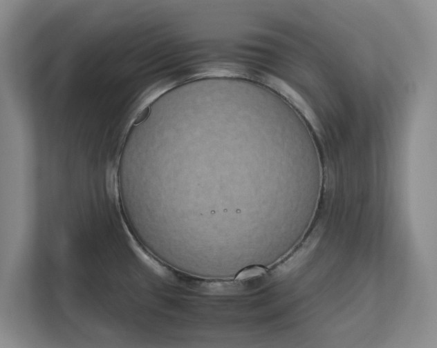 X0000111881433200908061305