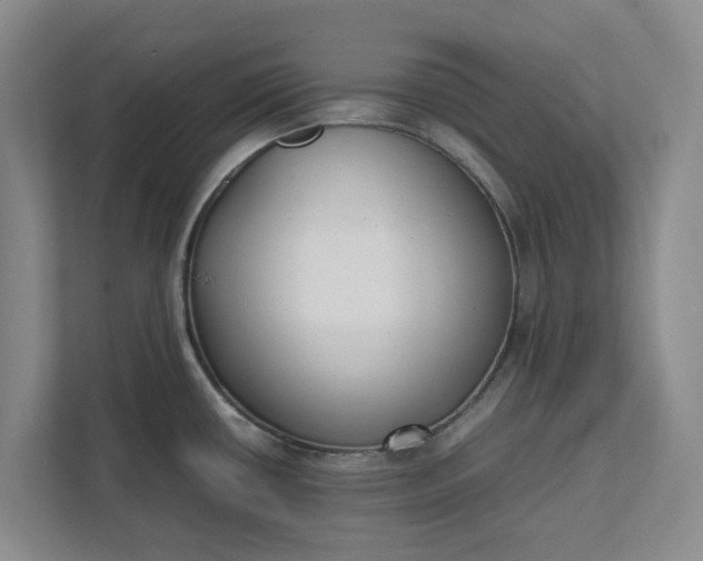 X0000111881434200908061305