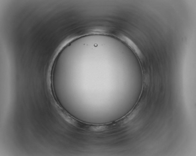 X0000111881435200908061305