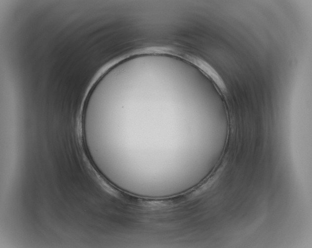 X0000111881436200908061305