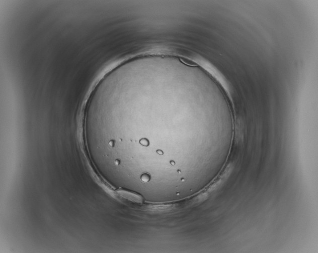 X0000111881437200908061305