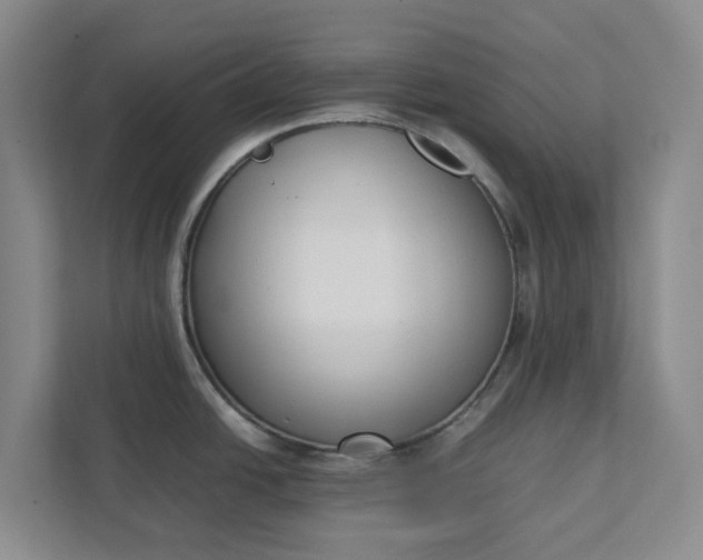 X0000111881438200908061305