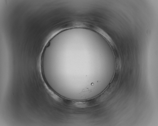 X0000111881439200908061305