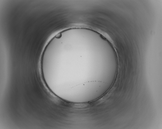 X0000111881440200908061305