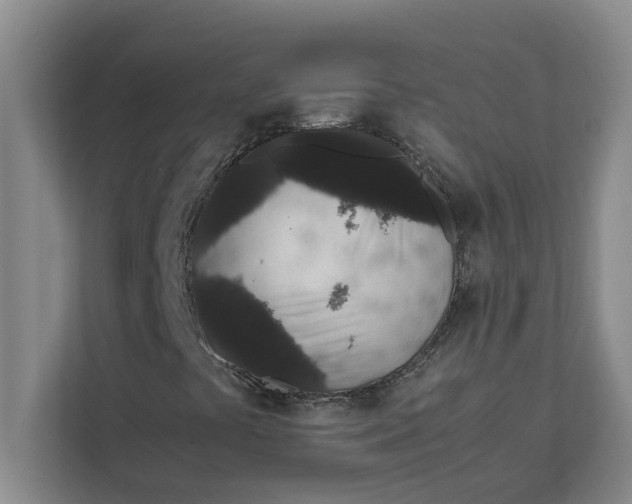 X0000111881441200908061304